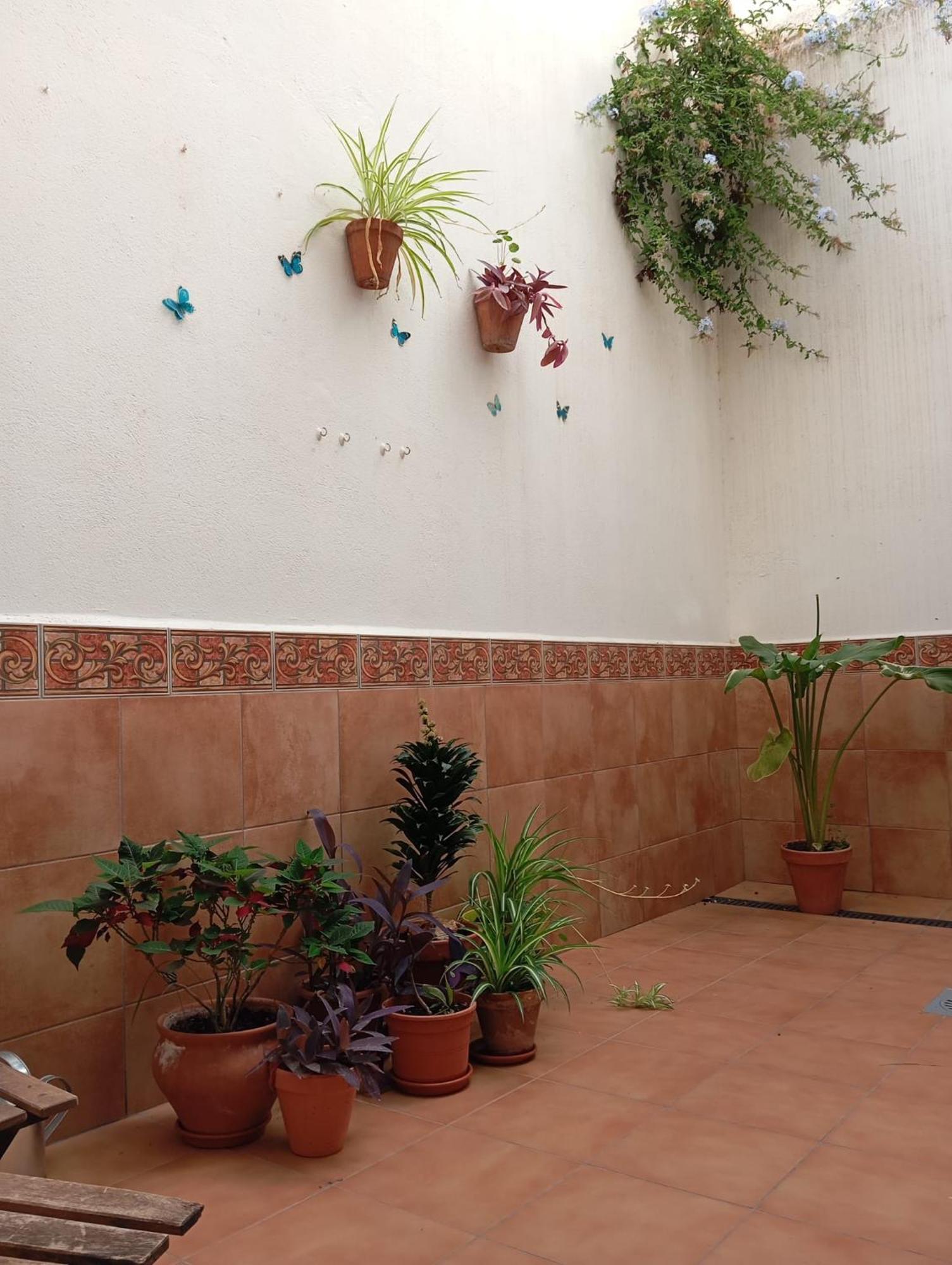 Apartamento Amapola Málaga Exterior foto